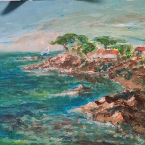 Voile sur la côte